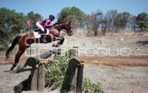 PRUEBAS CAMPO TRAVIESA - LAS HARAS