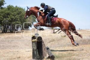 PRUEBAS CAMPO TRAVIESA - LAS HARAS