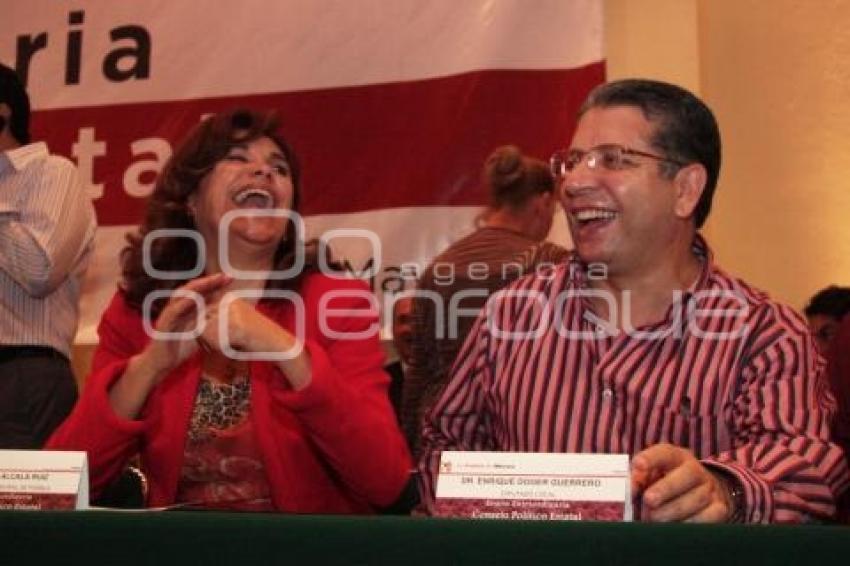 CONSEJO POLITICO PRI