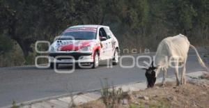 RALLY CAÑADAS - NECAM XXX