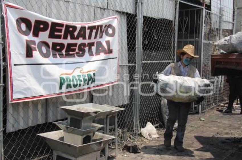 DECOMISO DE CARBÓN CLANDESTINO . CENTRAL DE ABASTO