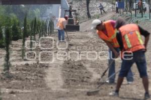 REFORESTACIÓN EN LA RECTA A CHOLULA