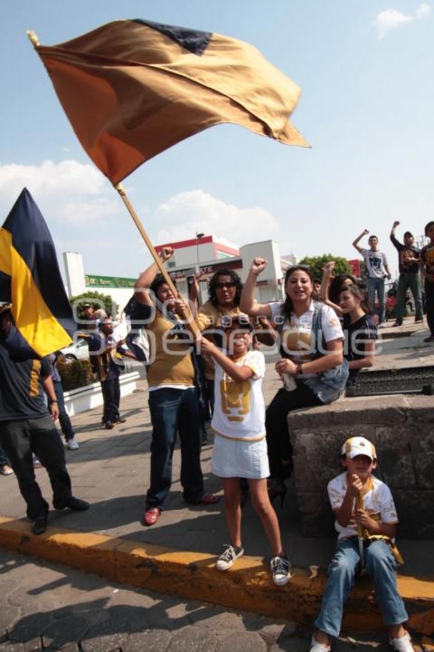 FESTEJOS - AFICION PUMA