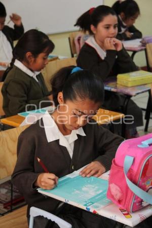 APLICACIÓN PRUEBA ENLACE . PRIMARIA