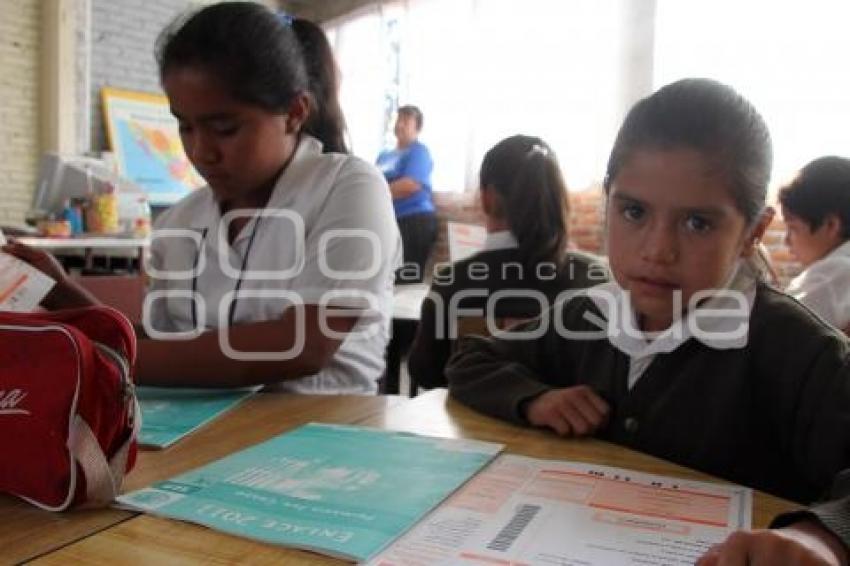 APLICACIÓN PRUEBA ENLACE . PRIMARIA