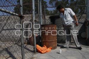 ENCUENTRAN A MUJER ENTAMBADA