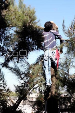 MUERE JARDINERO ASFIXIADO.