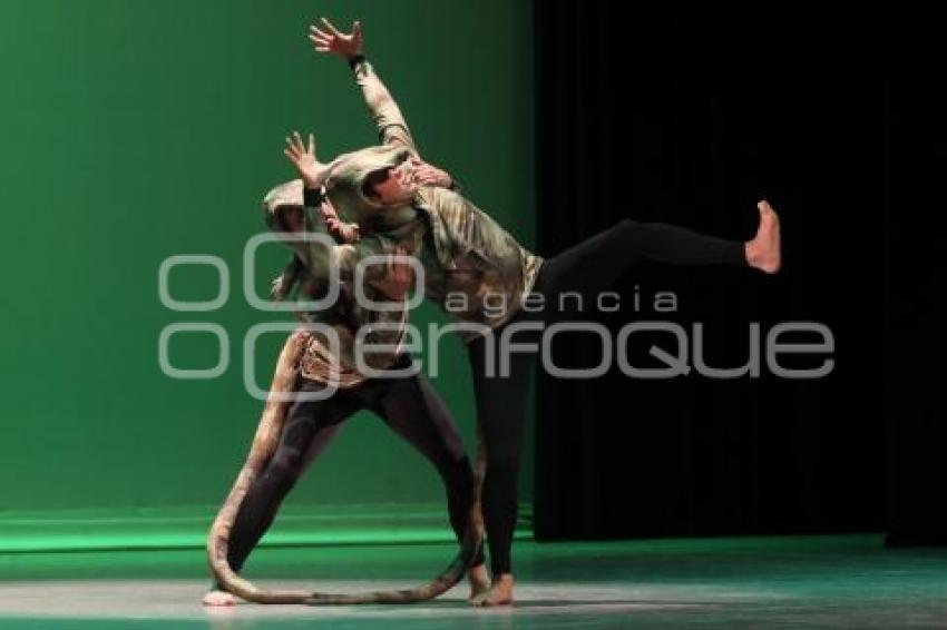 DANZA CONTEMPORÁNEA PARA NIÑOS