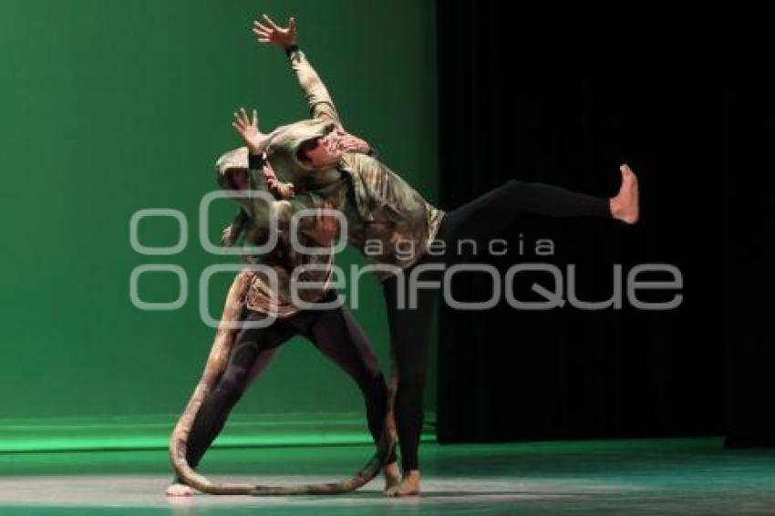 DANZA CONTEMPORÁNEA PARA NIÑOS