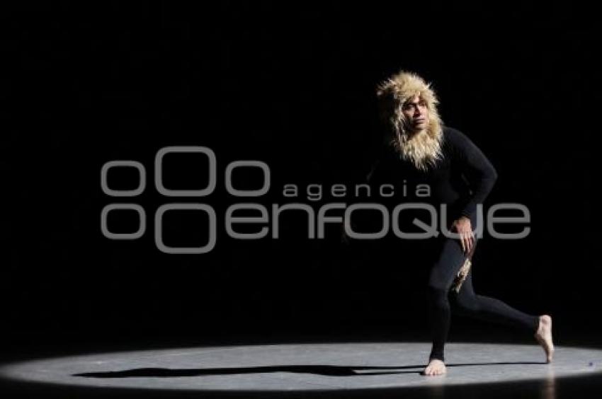 DANZA CONTEMPORÁNEA PARA NIÑOS