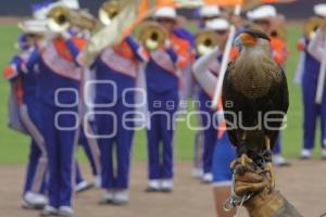 CONCURSO . BANDAS DE MÚSICA