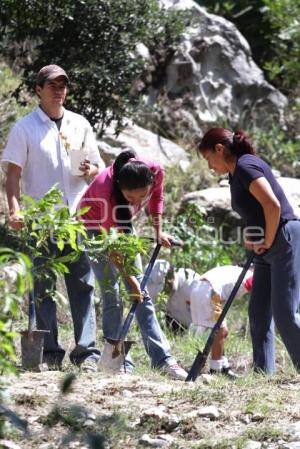 PROGRAMA DE REFORESTACIÓN 2011