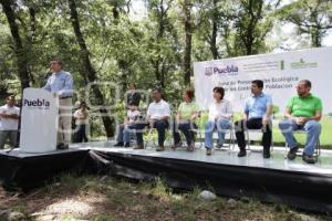 PROGRAMA DE REFORESTACIÓN 2011