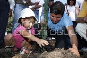 PROGRAMA DE REFORESTACIÓN 2011