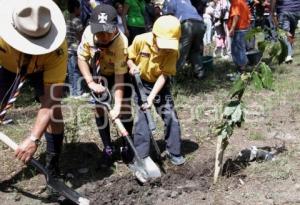 PROGRAMA DE REFORESTACIÓN 2011