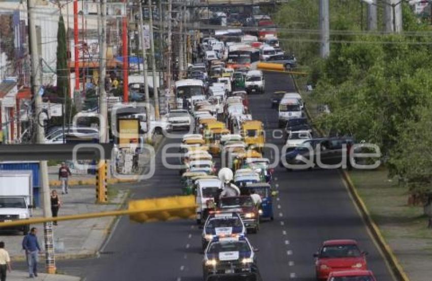 MARCHA MOTOTAXIS