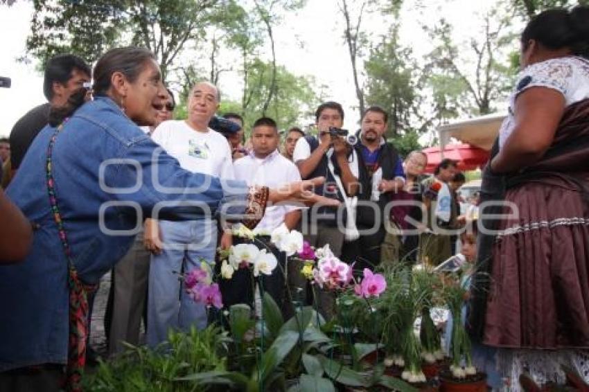 OPERATIVO ANALCO  - VENDEDORAS DE PLANTAS