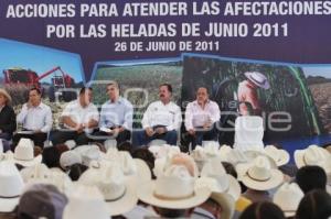 ENTREGA DE SEMILLAS
