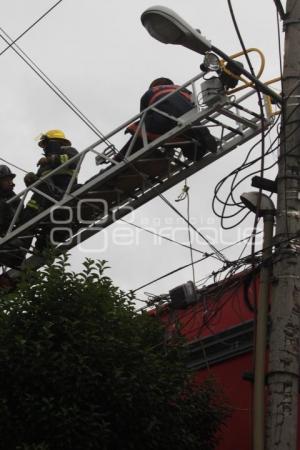 BOMBEROS RESCATAN A HOMBRE ELECTROCUTADO