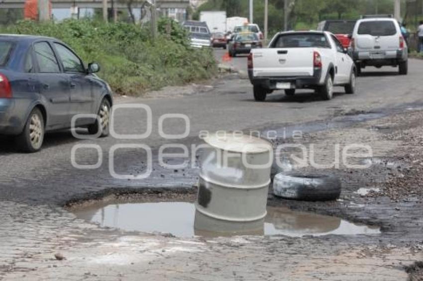 BACHES