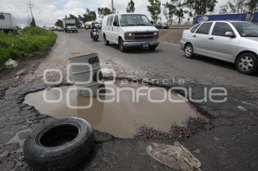 BACHES