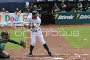 PERICOS VS BRONCOS . BEISBOL