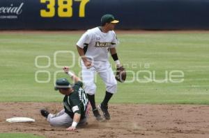 PERICOS VS BRONCOS . BEISBOL