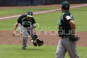 PERICOS VS BRONCOS . BEISBOL