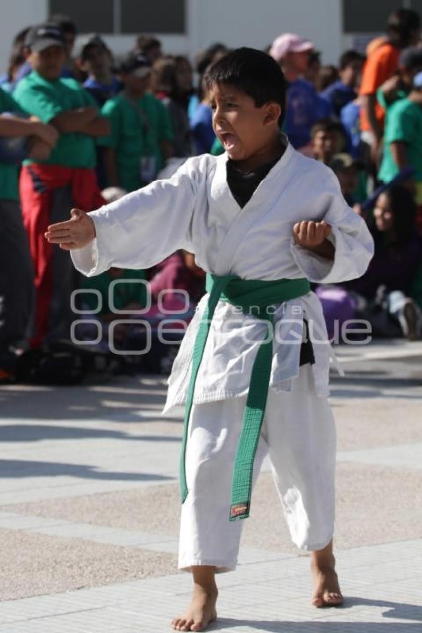 ACTIVIDADES DE VERANO - DIRECCION  DE CULTURA FISICA - CU BUAP