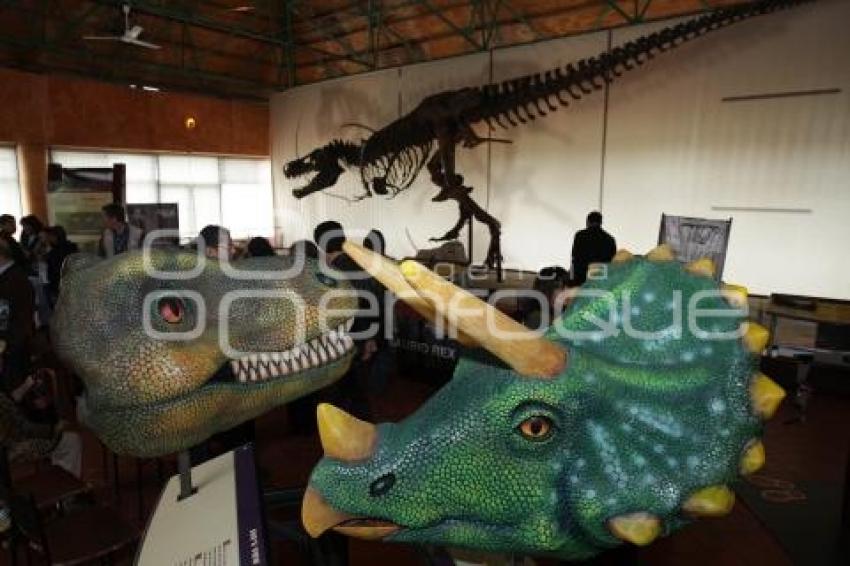 AFRICAM SAFARI . TIRANOSAURIO REX