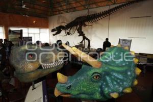AFRICAM SAFARI . TIRANOSAURIO REX