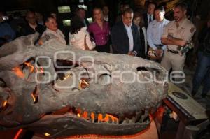 AFRICAM SAFARI . TIRANOSAURIO REX