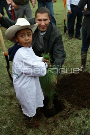 DIA DEL ARBOL