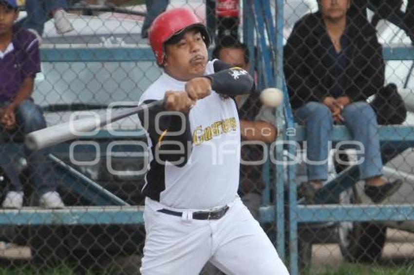 FINAL DE BEISBOL LIGA VOLKSWAGEN