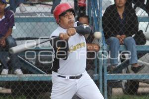 FINAL DE BEISBOL LIGA VOLKSWAGEN