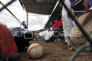 FINAL DE BEISBOL LIGA VOLKSWAGEN