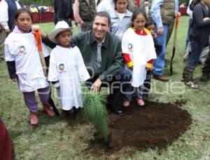 DIA DEL ARBOL