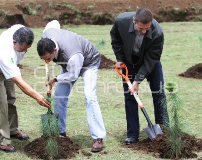 DIA DEL ARBOL