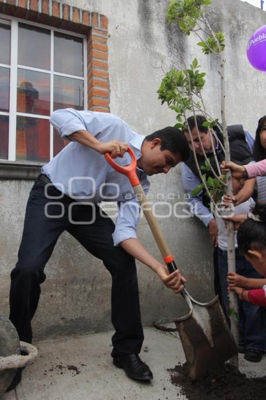 INAUGURAN CALLE EN BOSQUES DE MANZANILLA