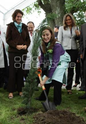 DIA DEL ARBOL - DIF ESTATAL