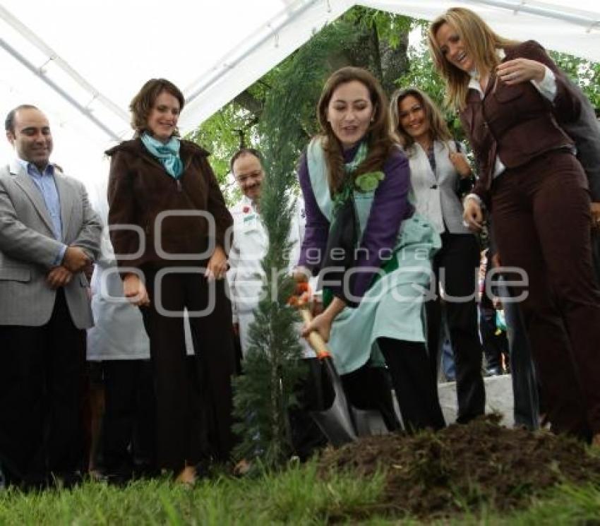 DIA DEL ARBOL - DIF DEL ESTADO