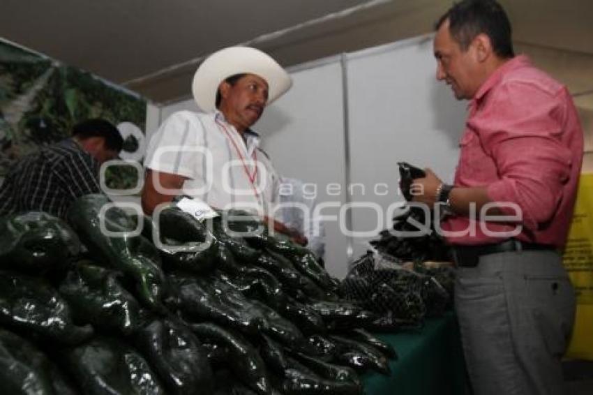 LA COCINA TRADICIONAL MEXICANA COMO PATRIMONIO INTEGRAL DE LA HUMANIDAD