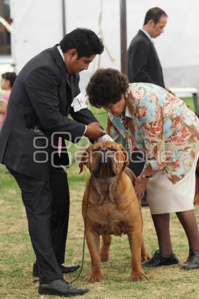 XXXVIII MAGNO CIRCUITO NACIONAL CANINO