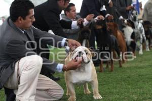 XXXVIII MAGNO CIRCUITO NACIONAL CANINO