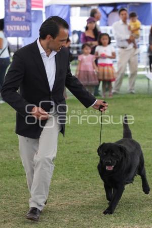 XXXVIII MAGNO CIRCUITO NACIONAL CANINO