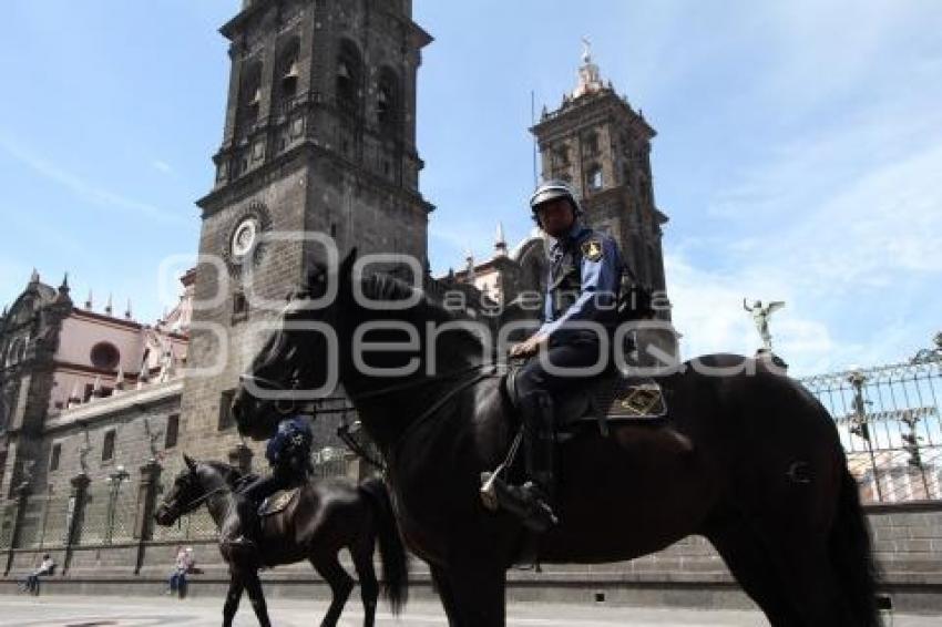 POLICÍA MONTADA EN EL CENTRO DE LA CIUDAD