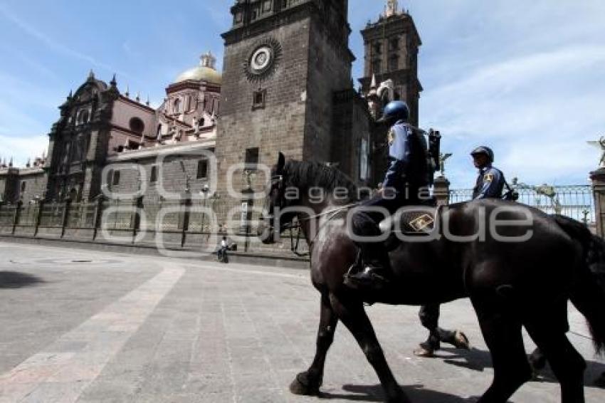 POLICÍA MONTADA EN EL CENTRO DE LA CIUDAD