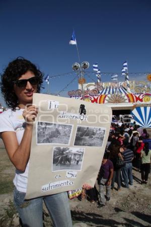 SE MANIFIESTAN ACTIVISTAS PRO DERECHOS ANIMALES