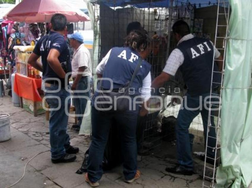 DECOMISAN MERCANCIA EN LA FAYUCA