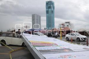 ESPECTACULAR CAE SOBRE AUTO - LLUVIAS